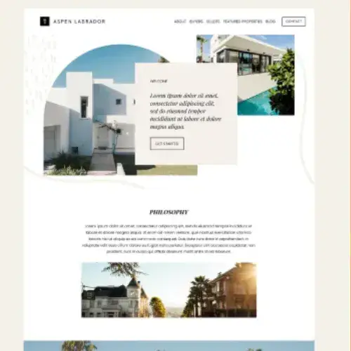 I will design and develop a professional squarespace website
